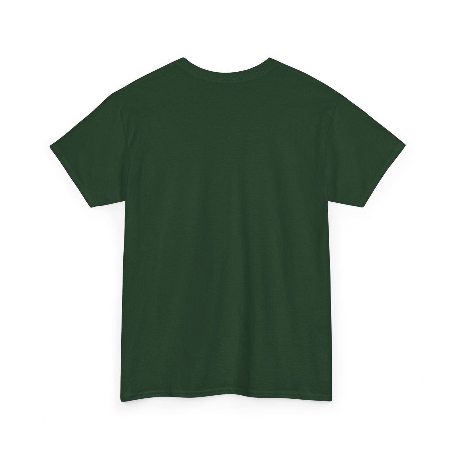 Empowered Heritage Tee - We Built Our Empires, Unisex T-Shirt, Casual Wear, Gift for History Lovers, Cultural Statement