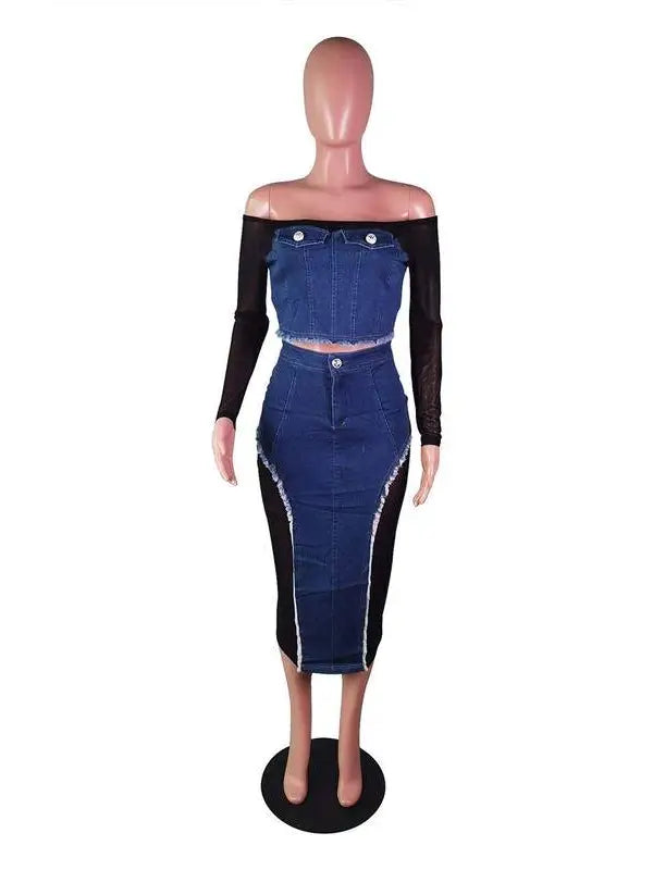 Denim Mesh Shirt and Skirt Set