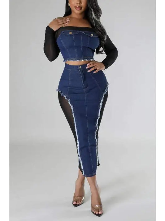 Denim Mesh Shirt and Skirt Set