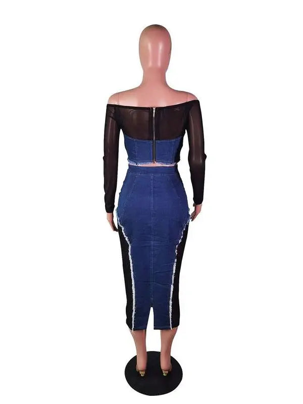 Denim Mesh Shirt and Skirt Set