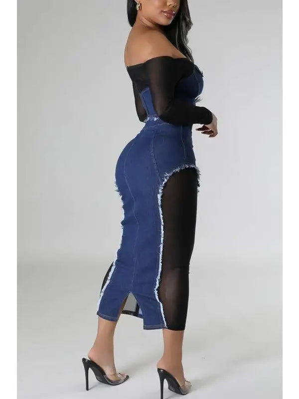 Denim Mesh Shirt and Skirt Set