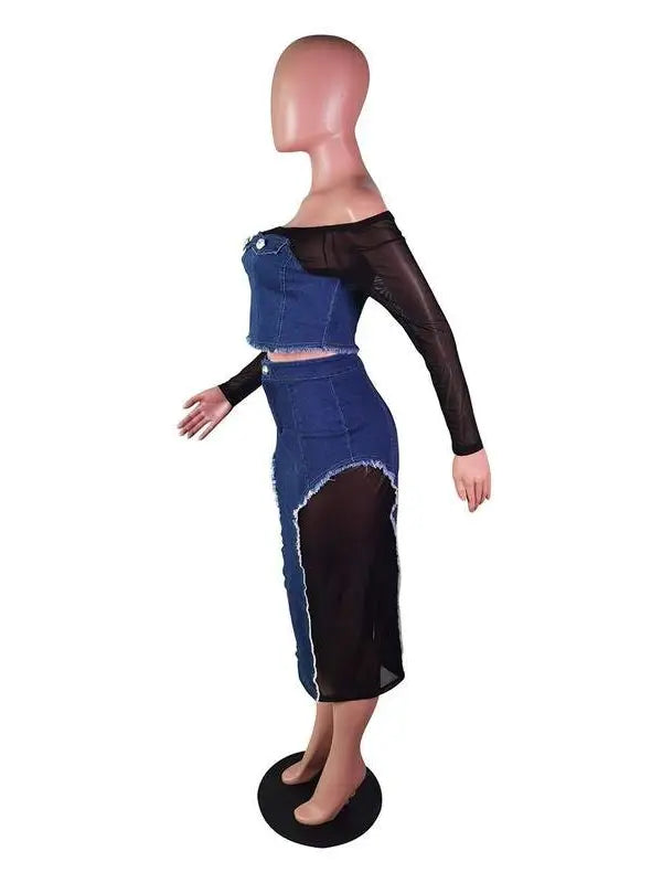 Denim Mesh Shirt and Skirt Set